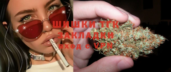 дмт Алзамай