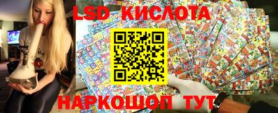 амф Кингисепп