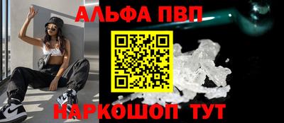 амф Кингисепп
