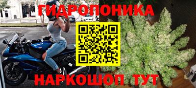 круглые Кимры