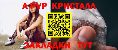 амф Кингисепп
