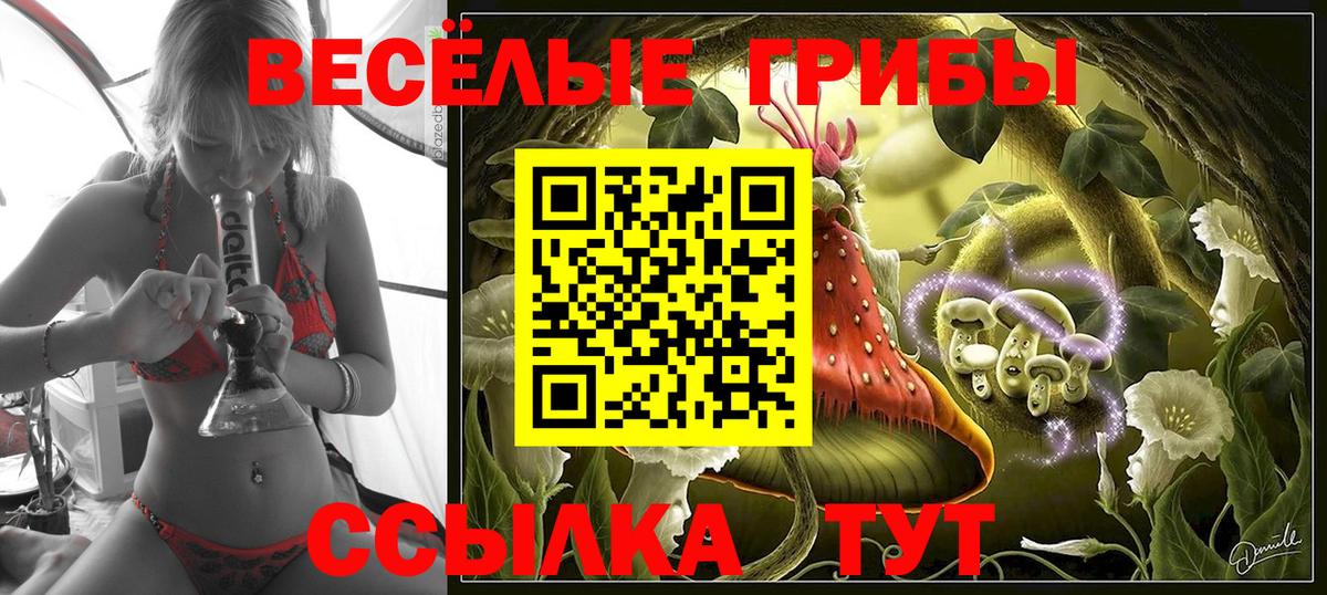 Галлюциногенные грибы ЛСД Сухой Лог
